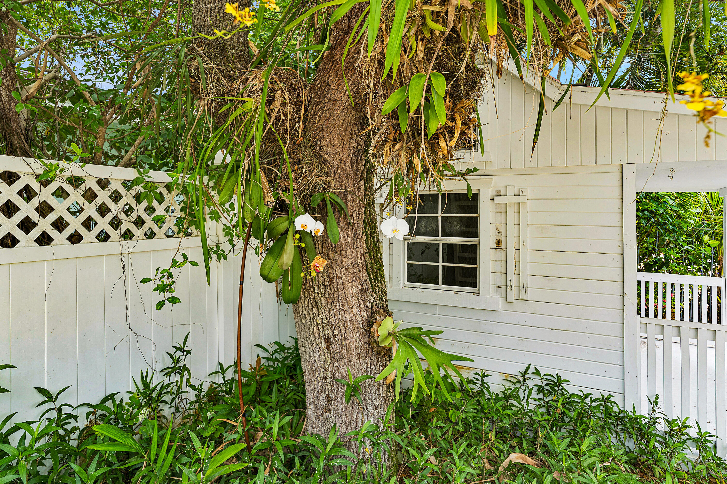 BELLO LIDO - Residential