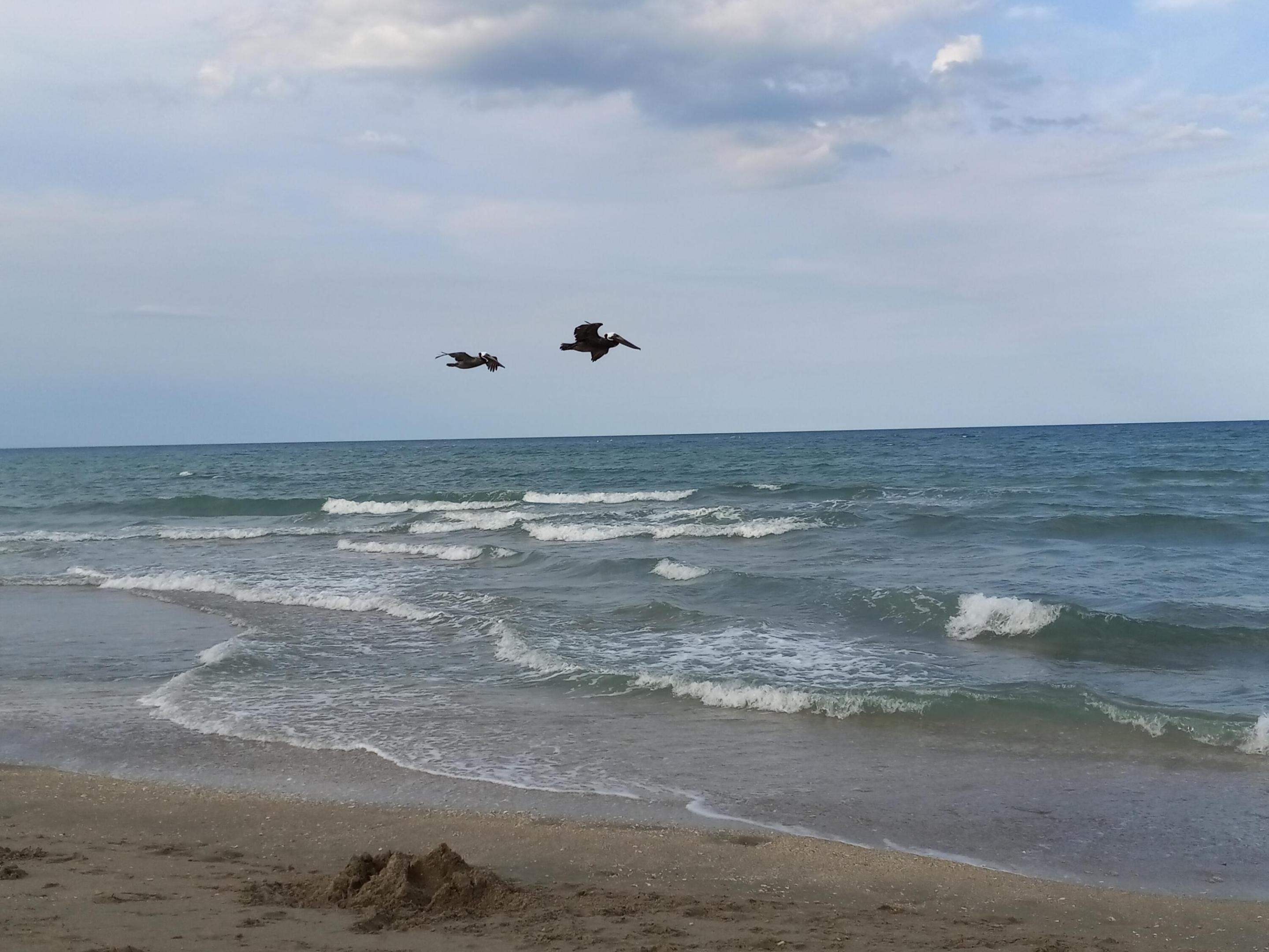 Miramar II - Residential Lease