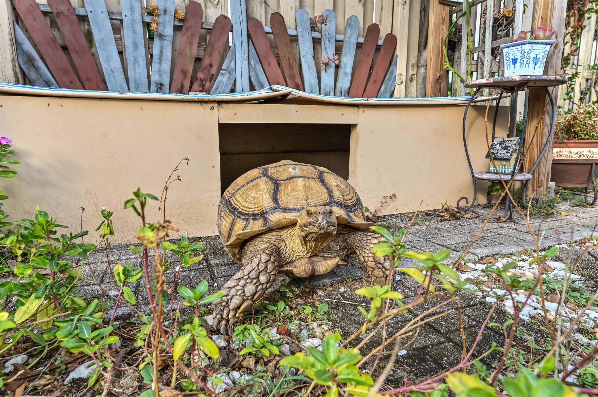 FLORESTA ESTATES - Residential