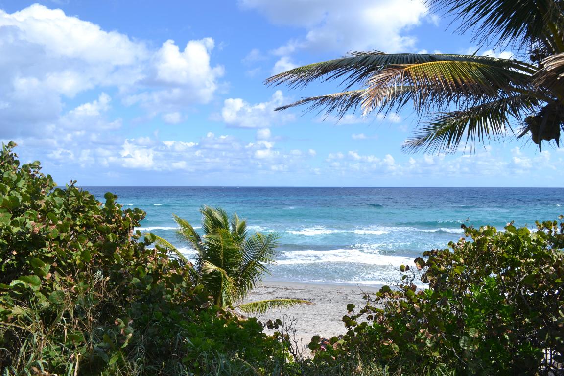 BEL MARRA - Residential