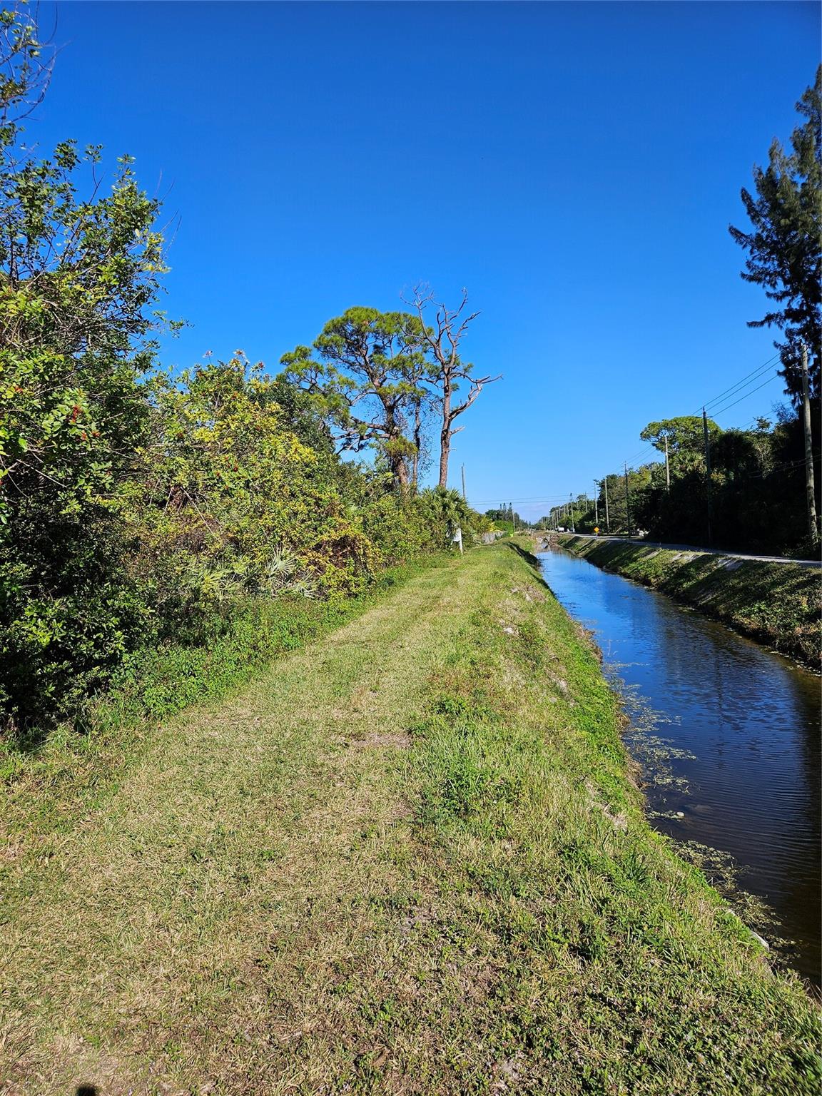 Steal it. This 5 acre lot is Directly off C Rd. It is cleared and high and dry.
Lowest priced 5 acres in Loxahatchee Groves.
West on Okeechobee Blvd, right on C Road, go 1.2 miles, property on left.
