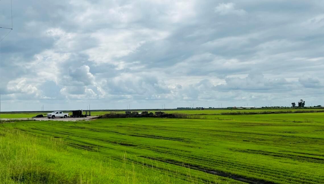ATTENTION DEVELOPERS AND INVESTORS.... PRIME REAL ESTATE AVAILABLE!!! Don't miss this opportunity to acquire 85+/- acres of agricultural residential land located off St Rd 80 and CR 827A that has prime highway frontage with constant traffic flow from all over the state. Future usage is HR8. Approx 1 acre is commercial property. Close to everything- schools, restaurants, health care, Lake Okeechobee, 1 hr to Miami and 45 min to WPB. Multiple Parcels included in sale. Property has a 4800 sq ft shop. Water, Sewer and Electric on site. Great opportunity for warehouse or housing development!!!! CALL TODAY!!!