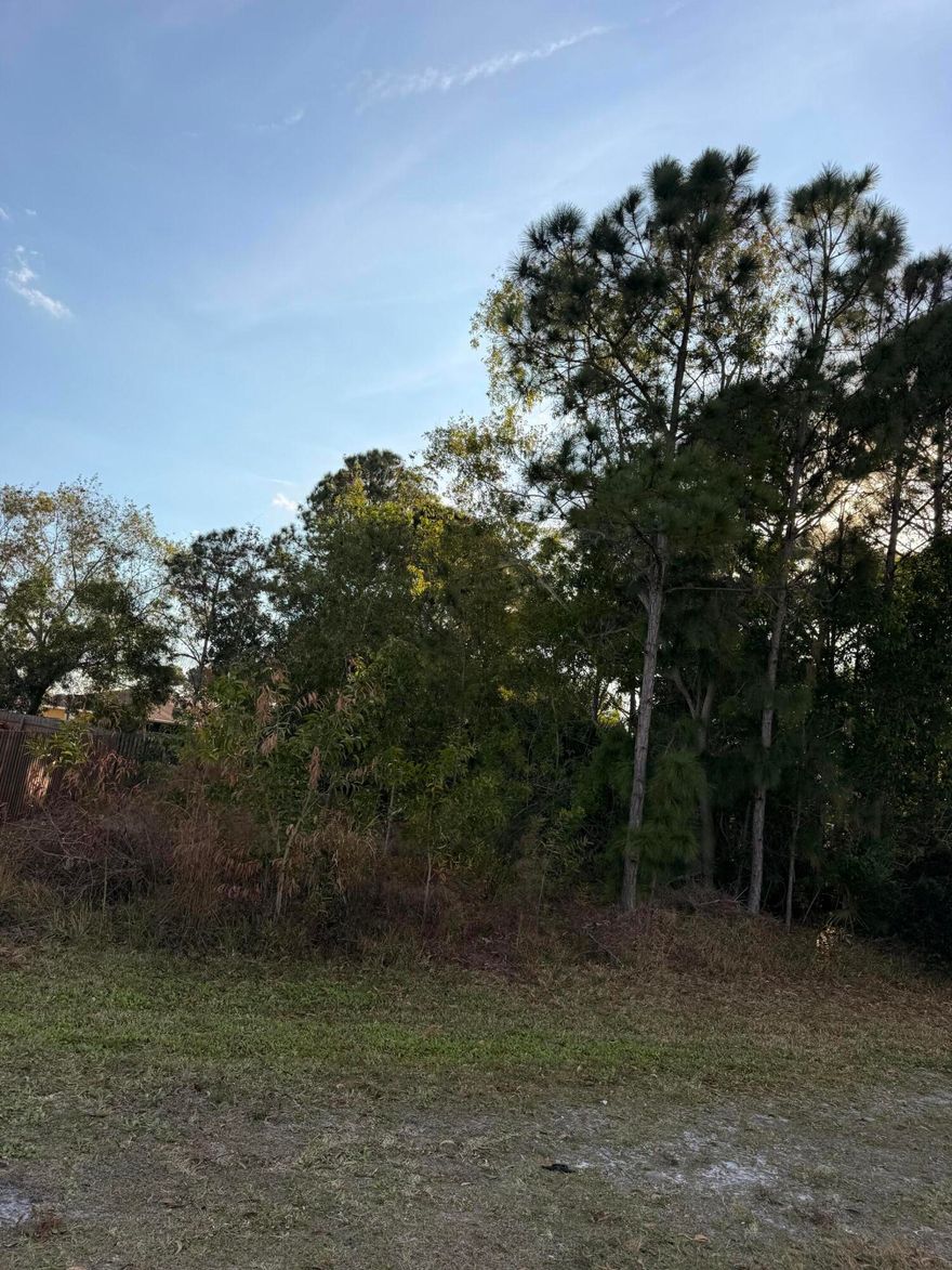 Oversized 15,278 sq ft lot just off Melaleuca tucked in a prime location with room to truly build what you want (not what barely fits). Whether you're planning your dream home, a smart investment, or looking to secure land in a growing area this one checks the boxes. Opportunities like this don't sit around. Land is limited... and they're not making more of it. Let's lock it up before someone else does.
