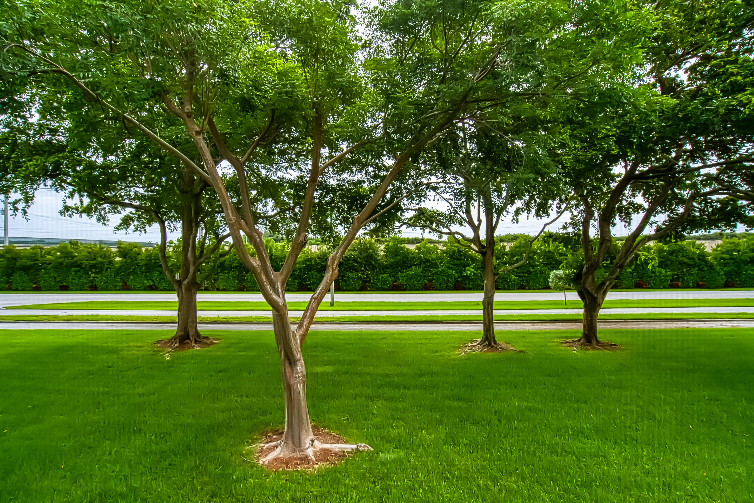 MANSFIELD AT CENTURY VILL - Residential