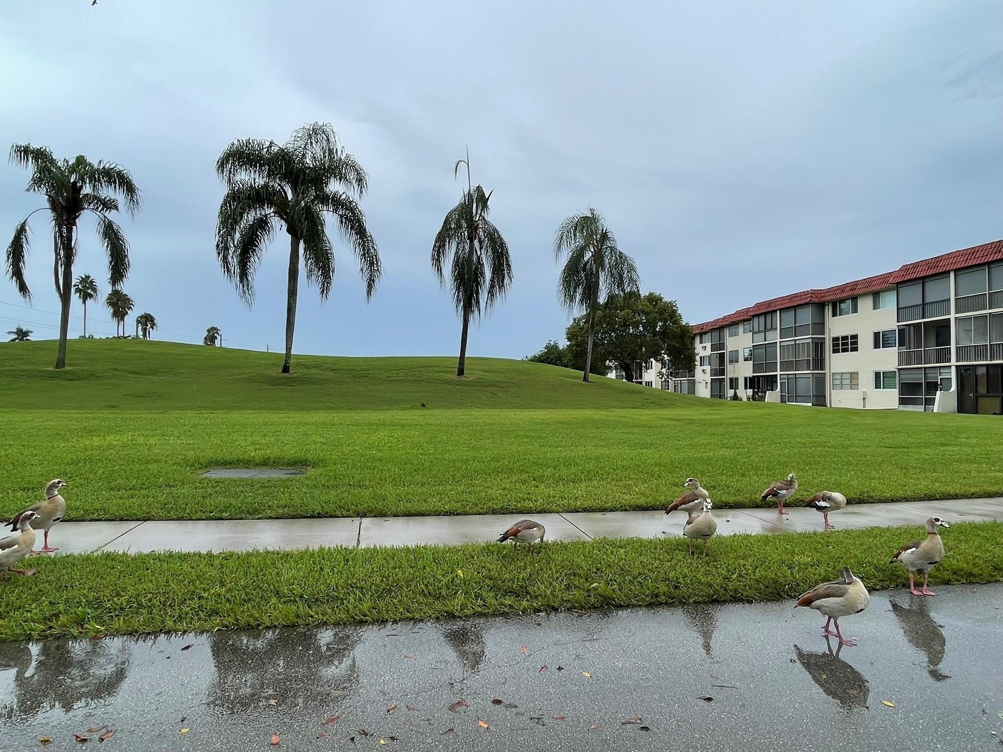 Hollybrook Golf & Tennis - Residential