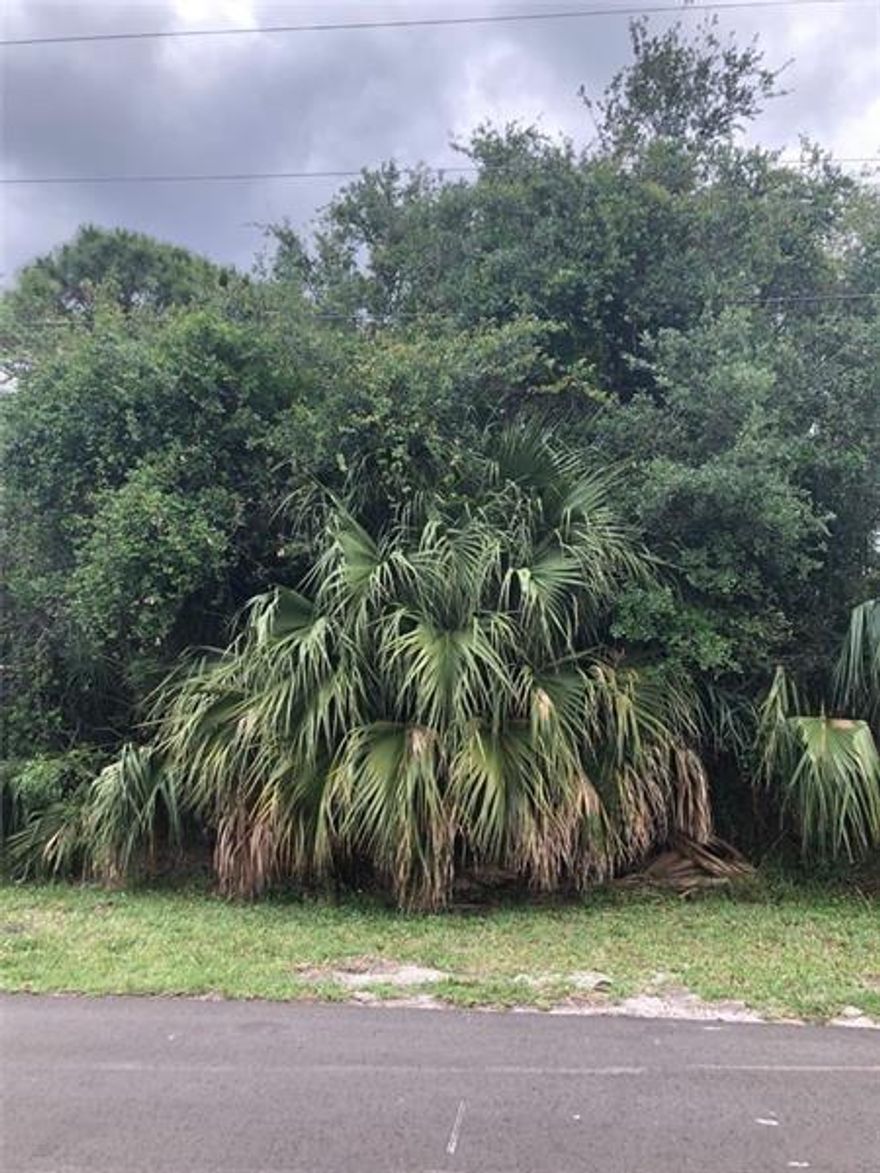 Build a dream home on this great lot East of US 1 for a great price. This lot is approximately 9,000 sq ft. Close to Intercoastal waterway (Indian River), the St. John’s river, boat launches and many beautiful beaches!