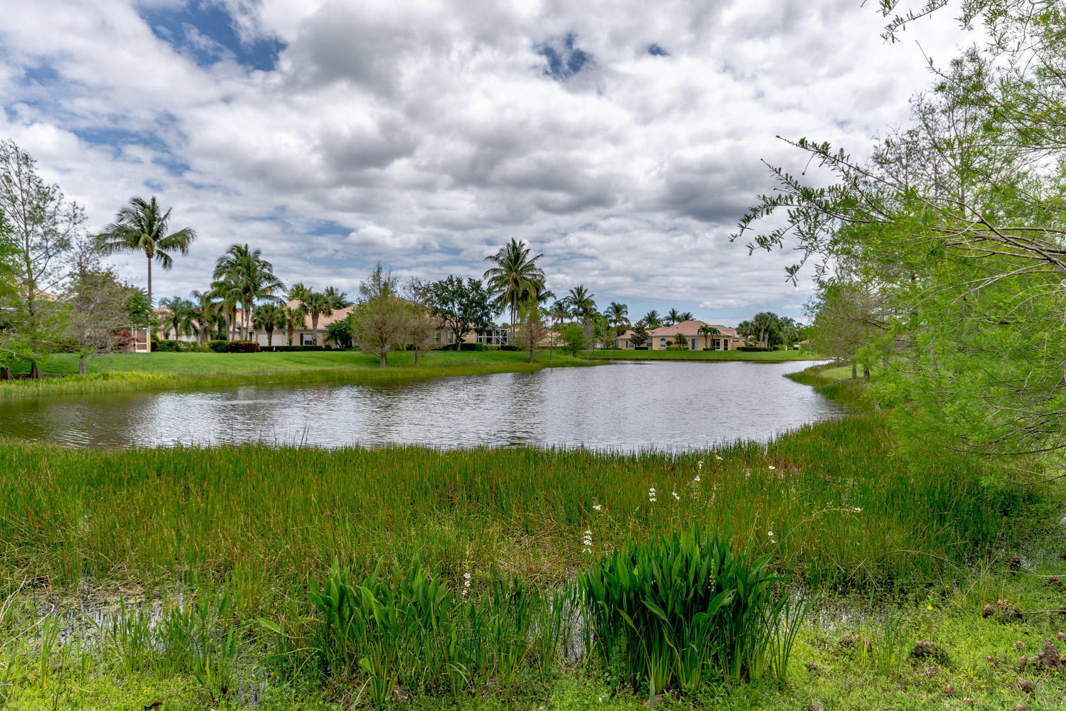 MAGNOLIA BAY - Residential