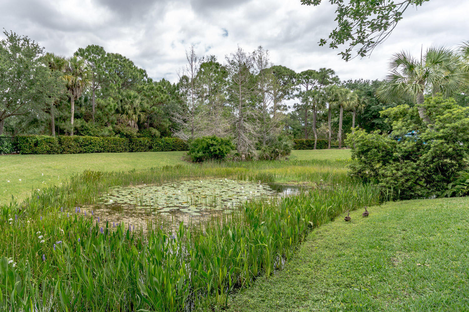MAGNOLIA BAY - Residential