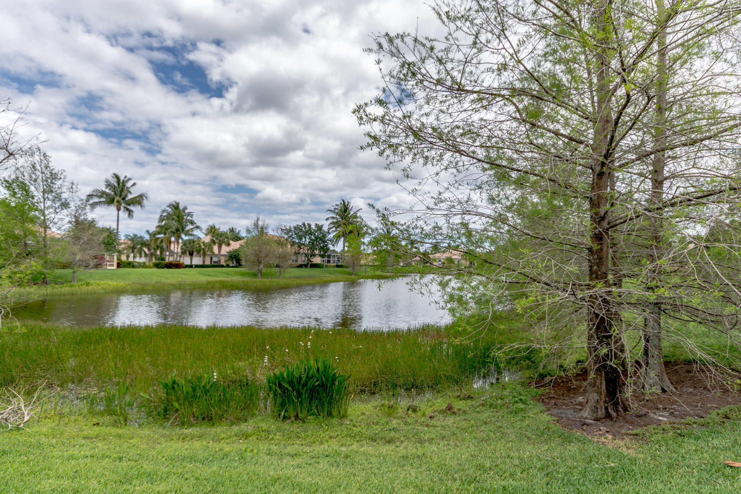 MAGNOLIA BAY - Residential