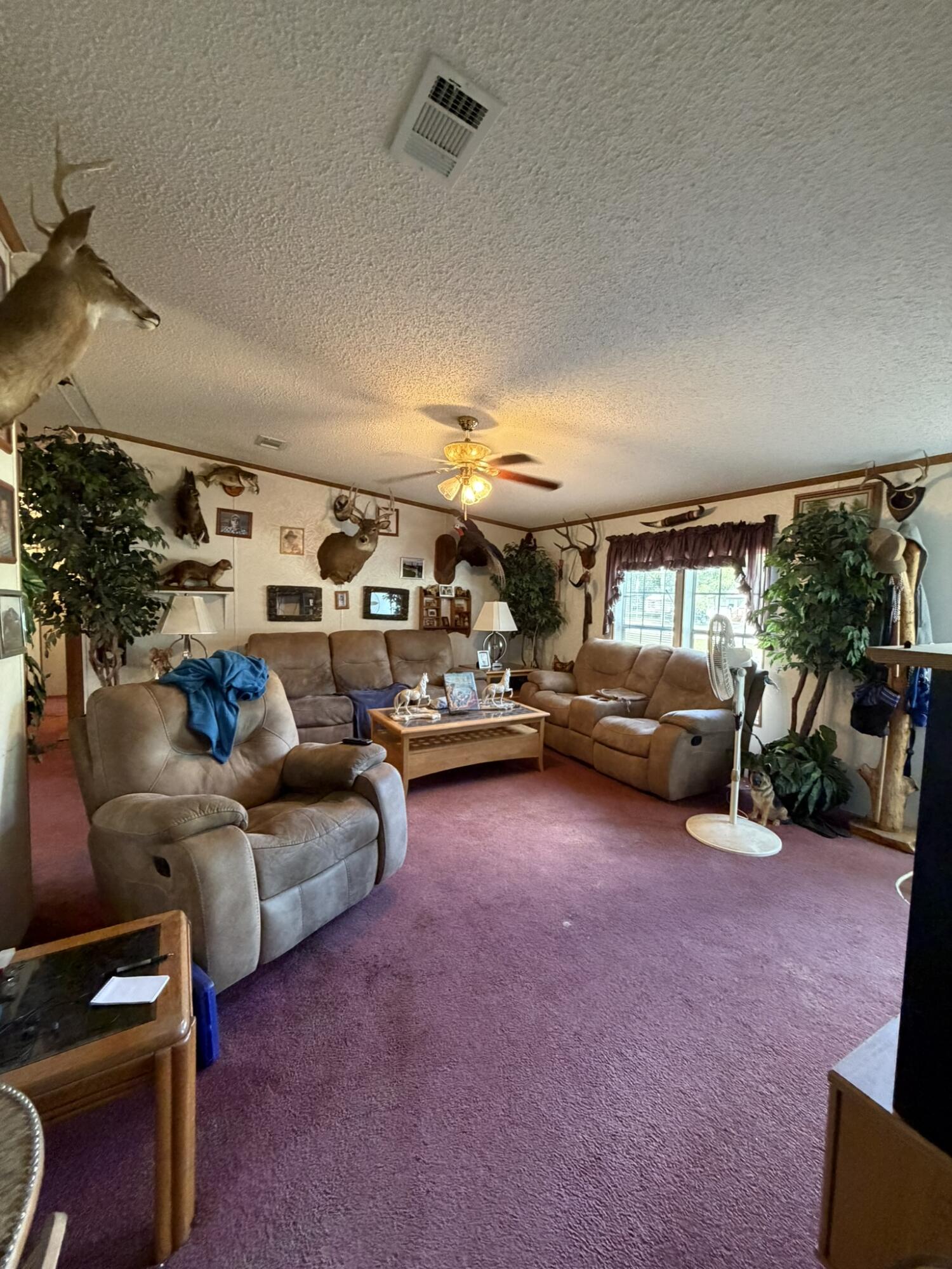 TALL PINES ESTATES - Residential