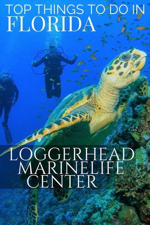 JUNO OCEAN KEY CONDO - Residential Lease