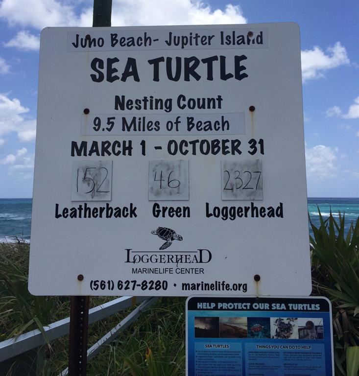 JUNO OCEAN KEY CONDO - Residential Lease