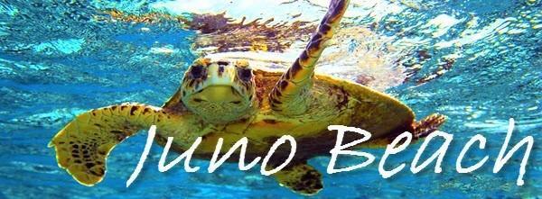 JUNO OCEAN KEY CONDO - Residential Lease