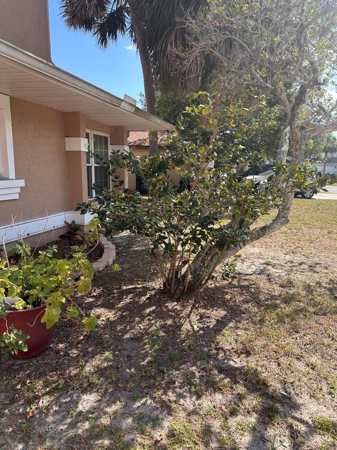 1422 Wood Violet Drive