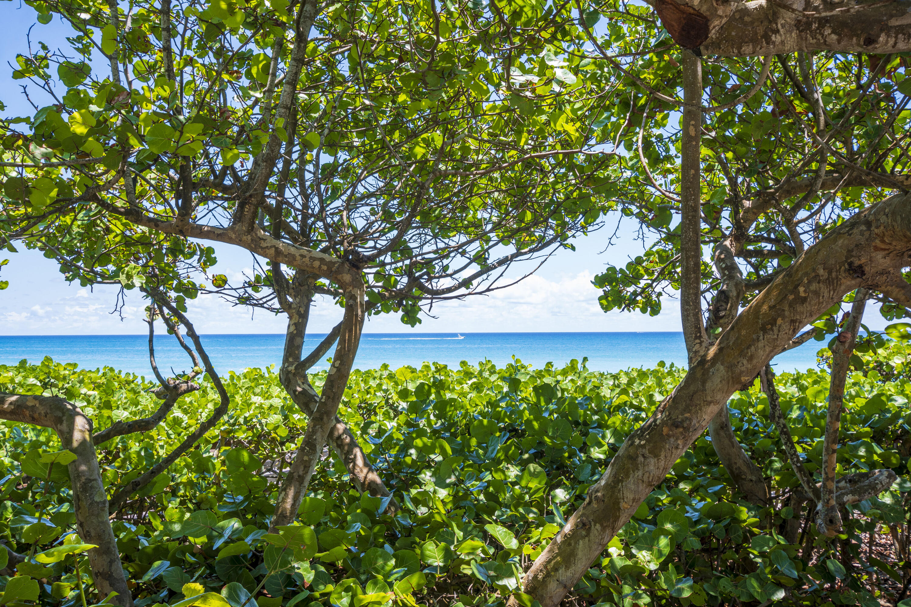 RIO VISTA OF ISLAND SHORES - Residential