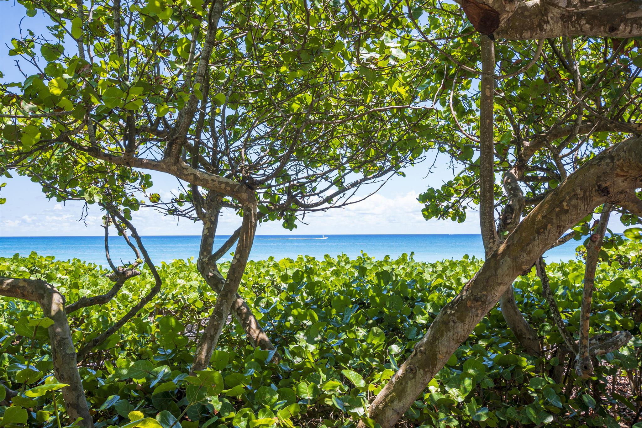 RIO VISTA OF ISLAND SHORE - Residential