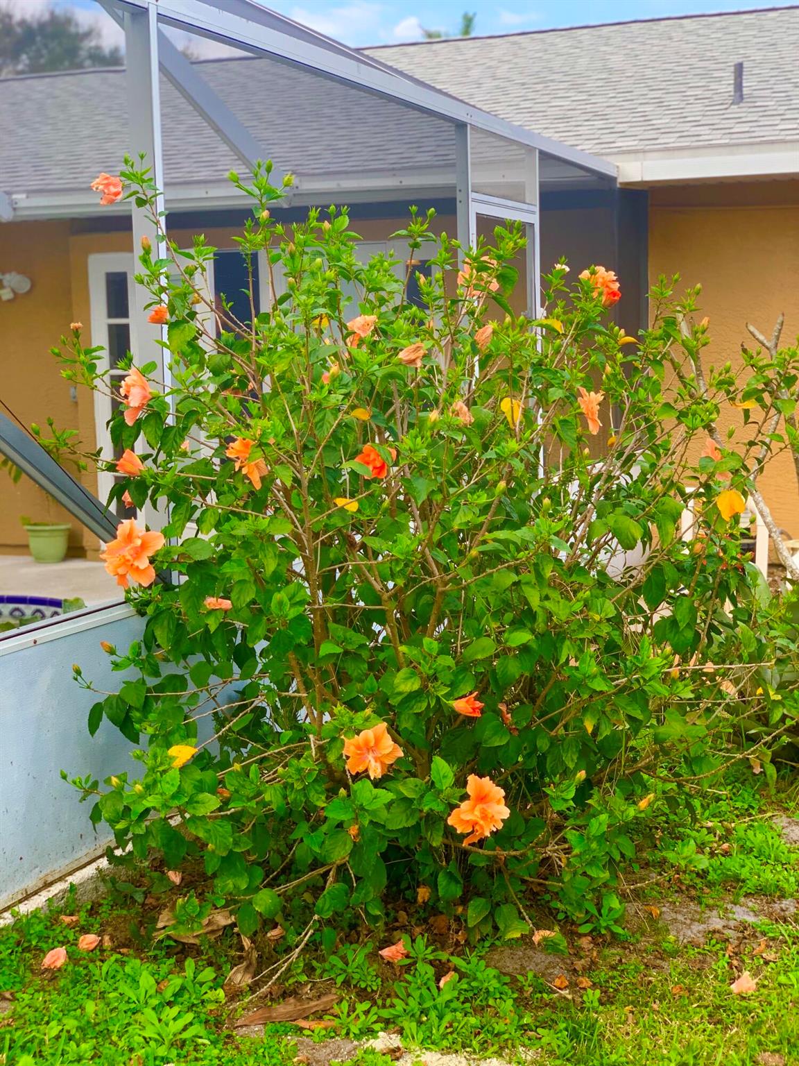 PORT ST LUCIE FLORESTA PINES UNIT 2 - Residential