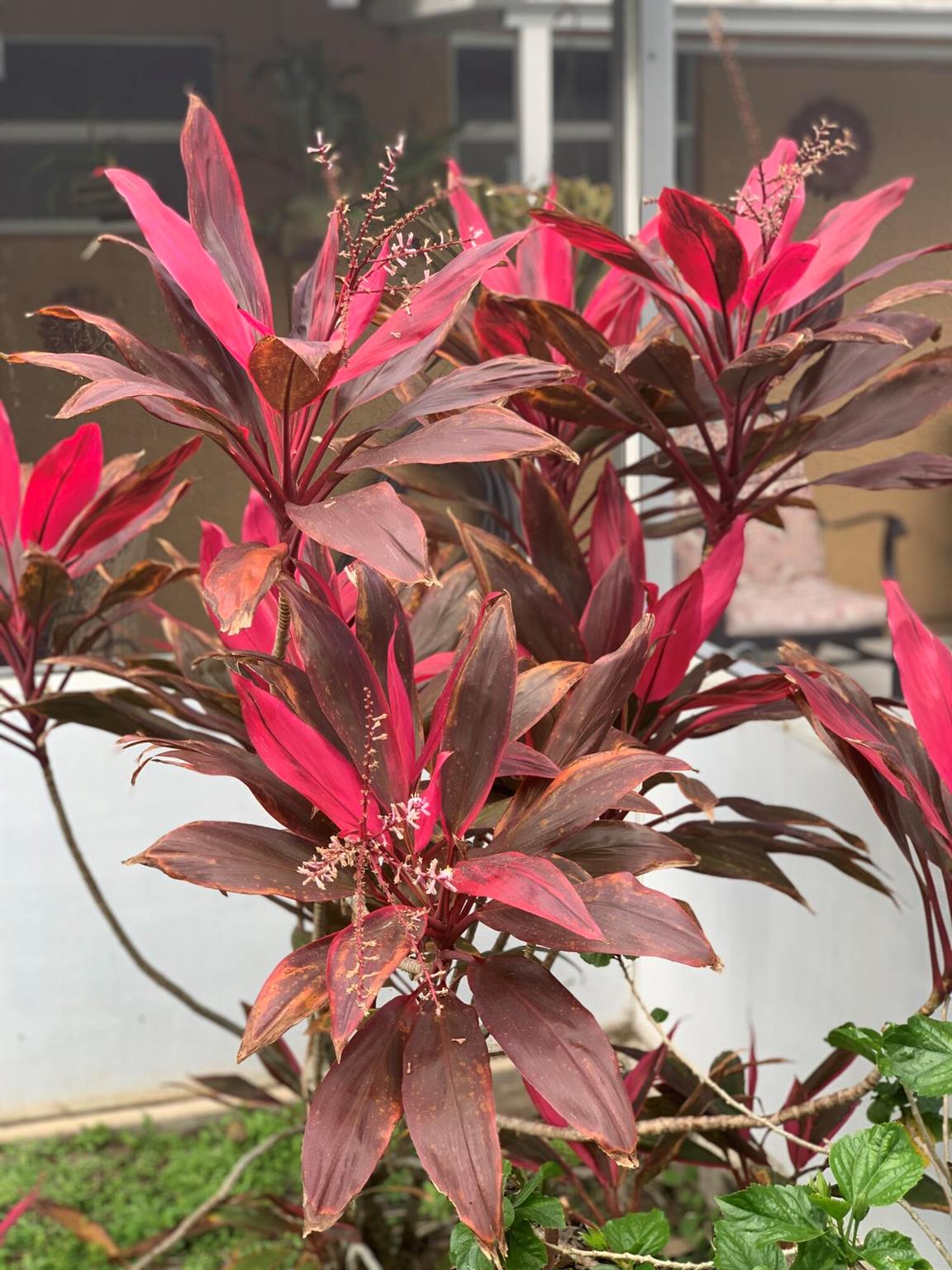 PORT ST LUCIE FLORESTA PINES UNIT 2 - Residential