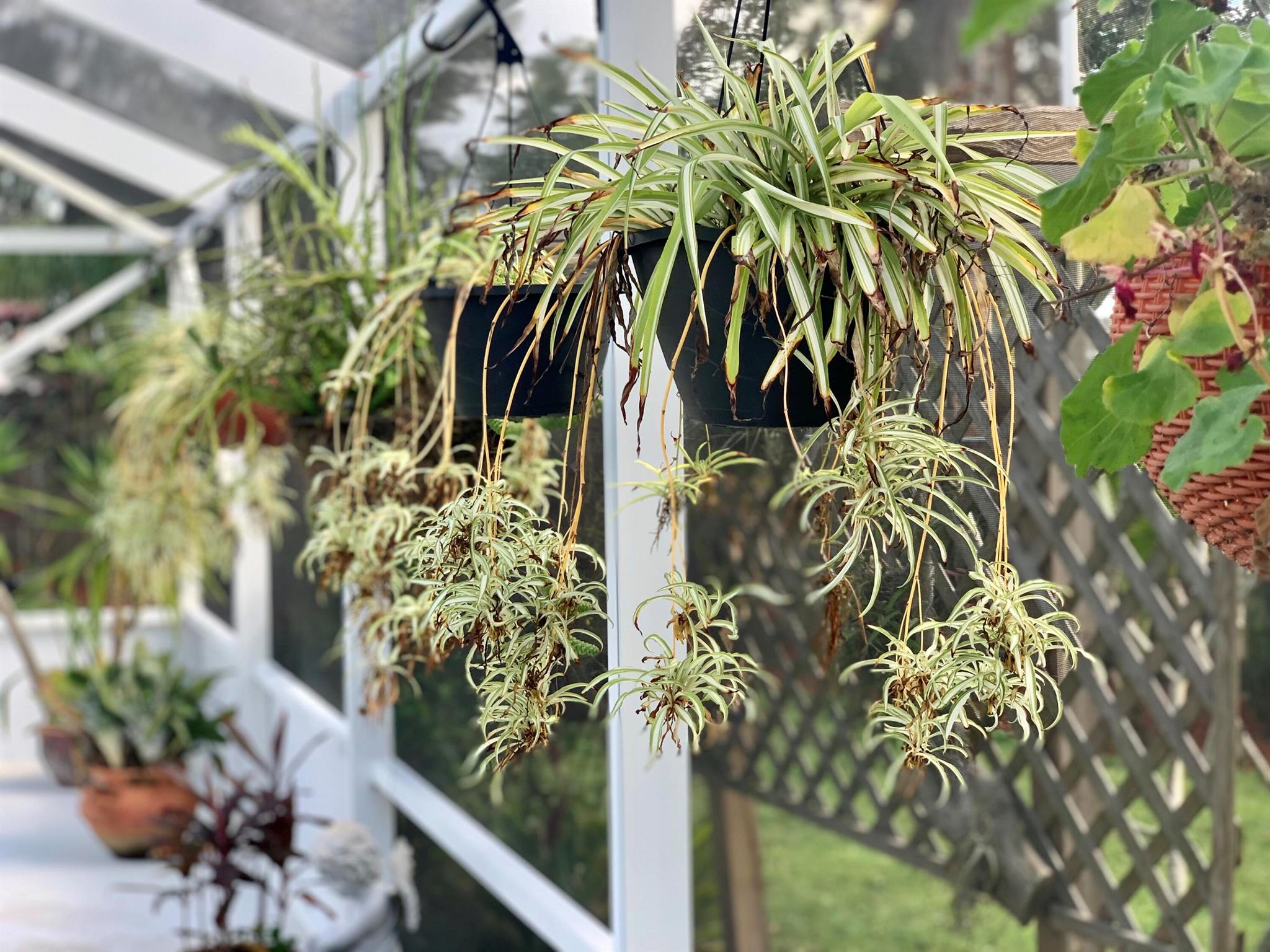 PORT ST LUCIE FLORESTA PINES UNIT 2 - Residential