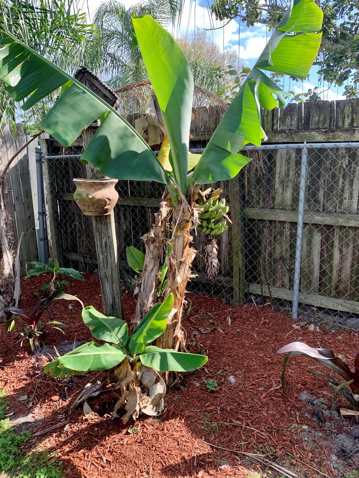 PORT ST LUCIE FLORESTA PINES UNIT 2 - Residential