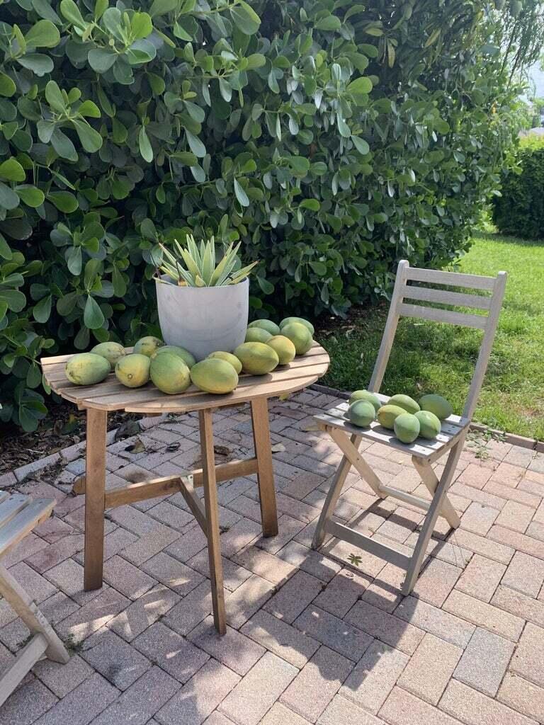 Pine Tree Village - Residential