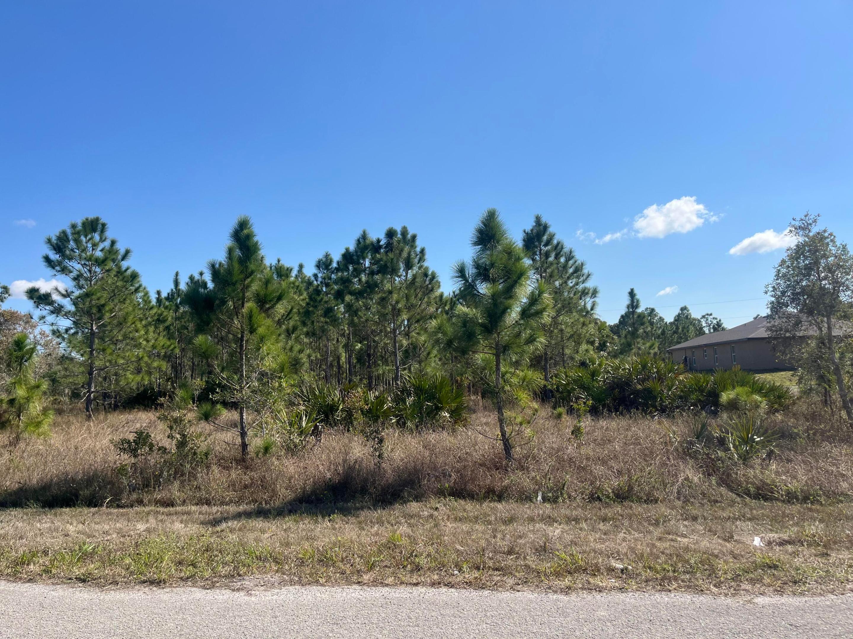 LEHIGH ACRES - Land