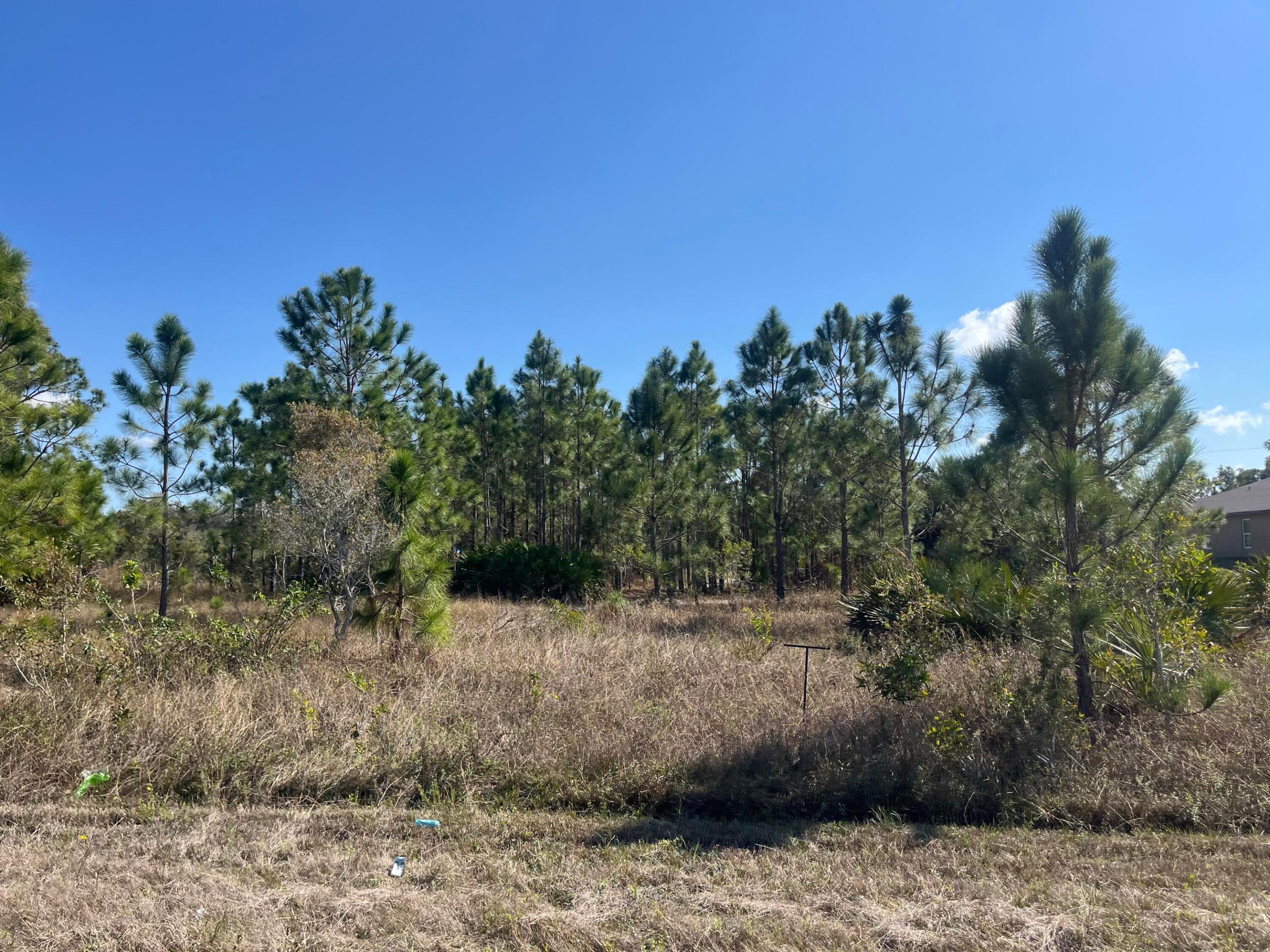LEHIGH ACRES - Land