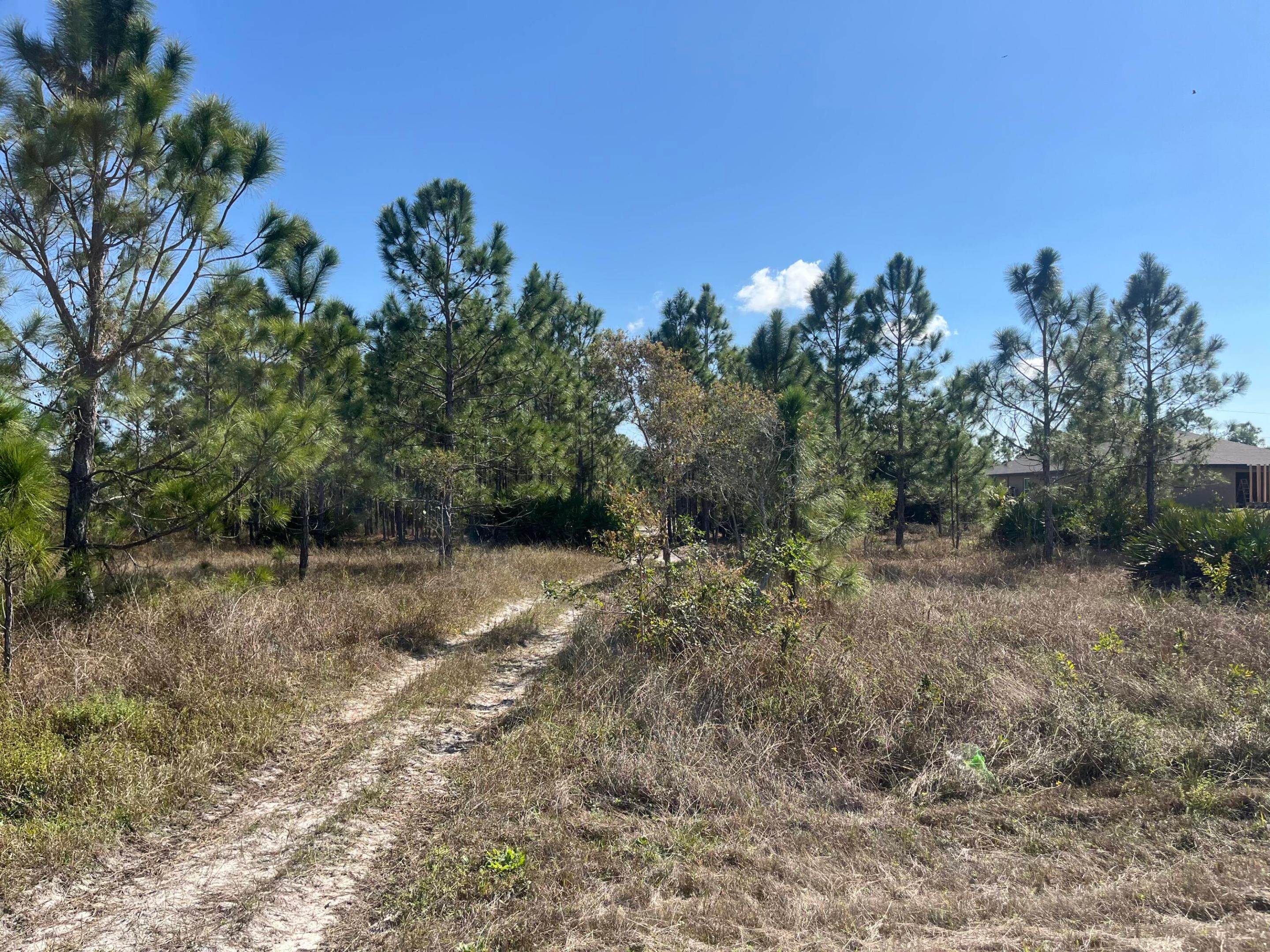 LEHIGH ACRES - Land