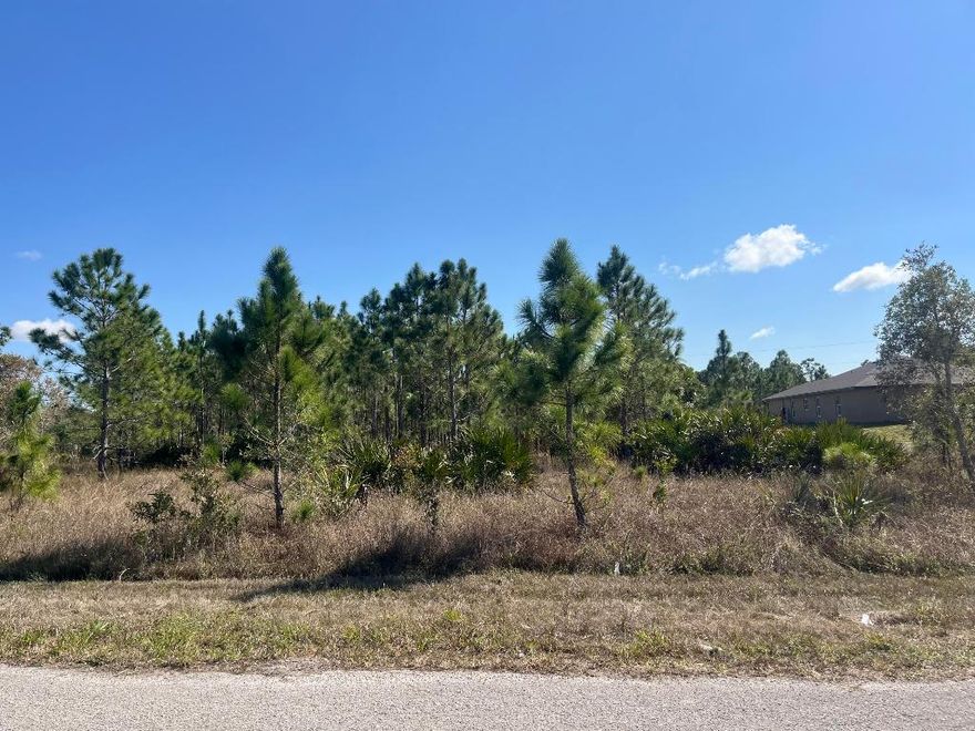 Don't miss out on your opportunity to build your dream home on this high and dry lot. New homes being built waiting for you and your family to build. Convenient location off State Road 82 nearby to I75, Airport, shopping/Restaurants. Just a short drive to Fort Myers and Punta Gorda airports, two spring training facilities and beaches! This lot is listed below market value. Buying Land in Florida is a solid investment for your future, build your dream home, vacation home, rental investment or let the land build value as a great long-term investment to resell for a future profit.