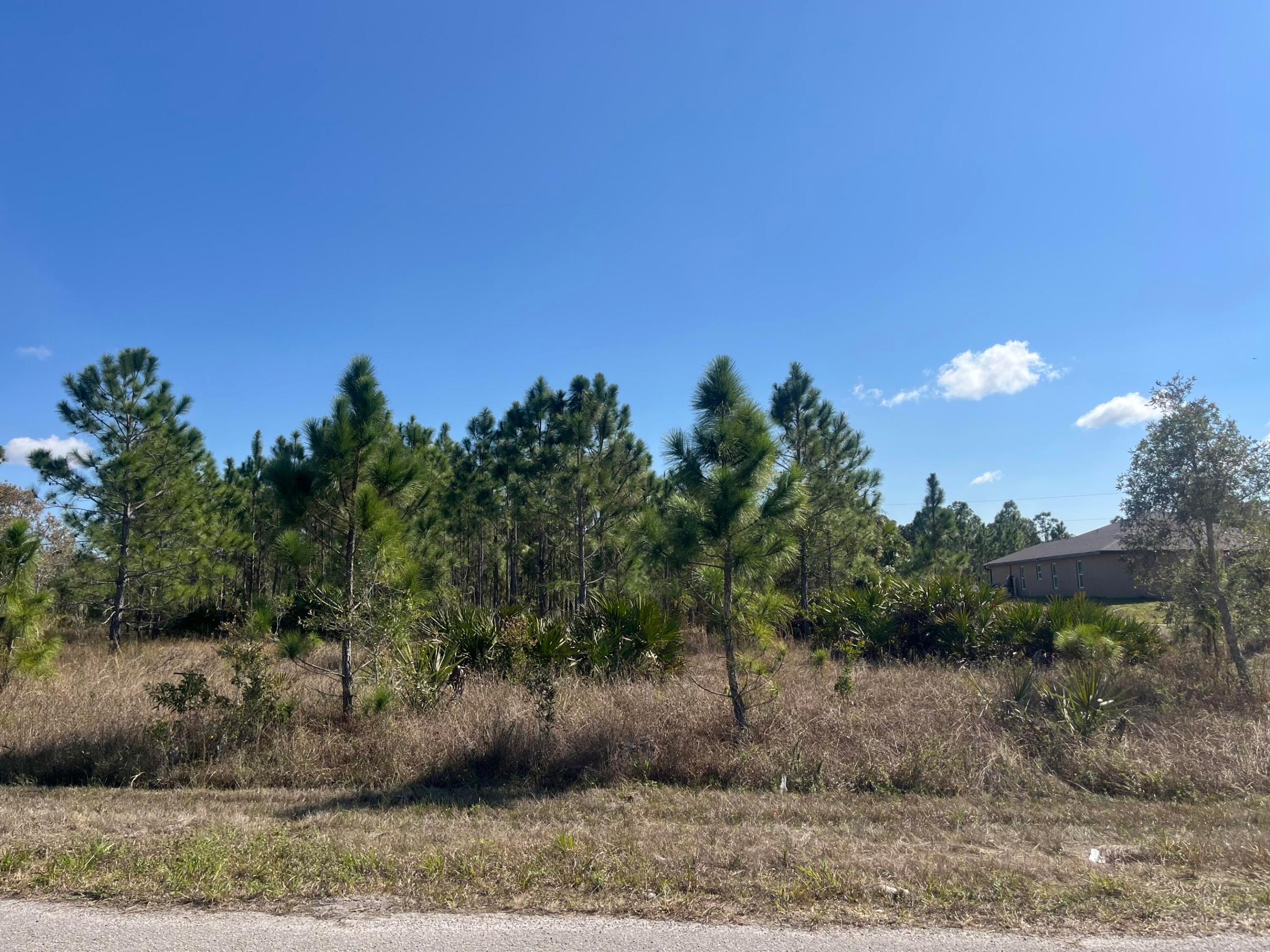 LEHIGH ACRES - Land