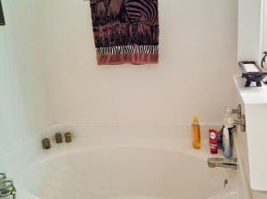 PORT ST LUCIE SECTION 18 - Residential