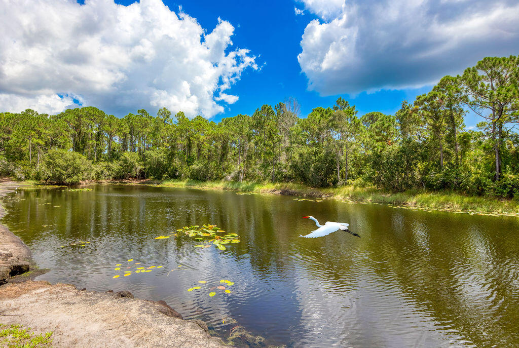 INDIAN PINES VILLAGE - Residential