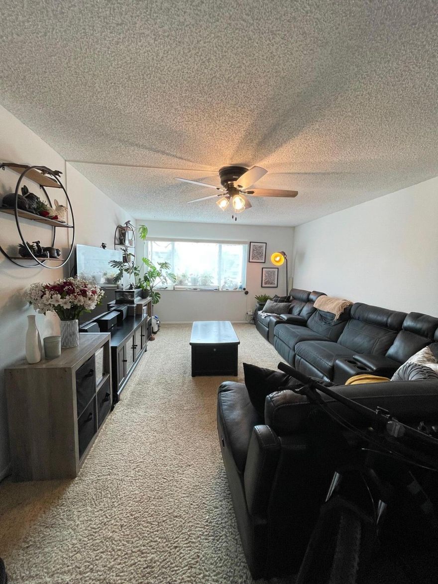 Sun-Filled 1/1 with Style & Space ☀️ Fall in love with this natural light 1 bed, 1 bath featuring an airy open floor plan, sleek granite countertops, and a mix of carpet and tile for comfort and style. Two roomy bedroom closets plus bonus storage keep everything organized with a relaxing tub/shower combo, and a welcoming layout make this a must-see. Book your private showing today :)