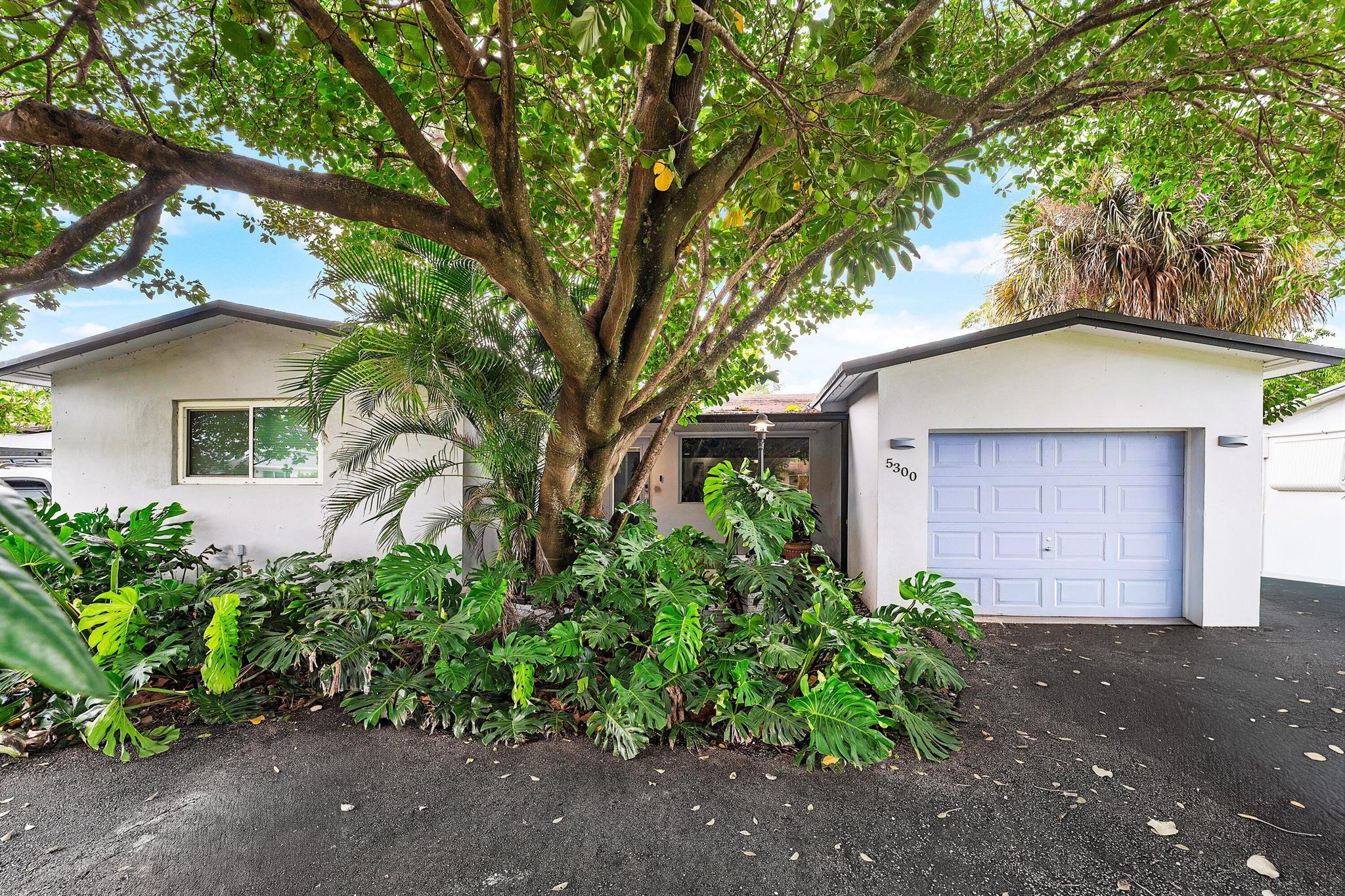 HOLLYWOOD HILLS - Residential