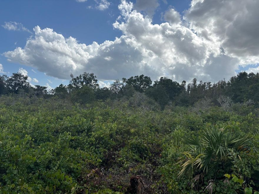 Quiet Rancho Bonito lot away from all the noise. Hunt, camp and ride.
Owner financing available