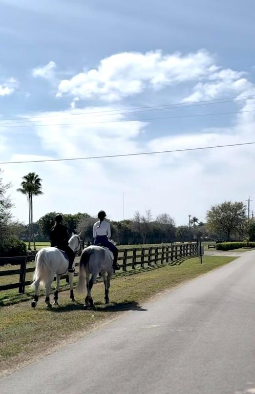 SOUTHFIELDS WELLINGTON COUNTRY - Land