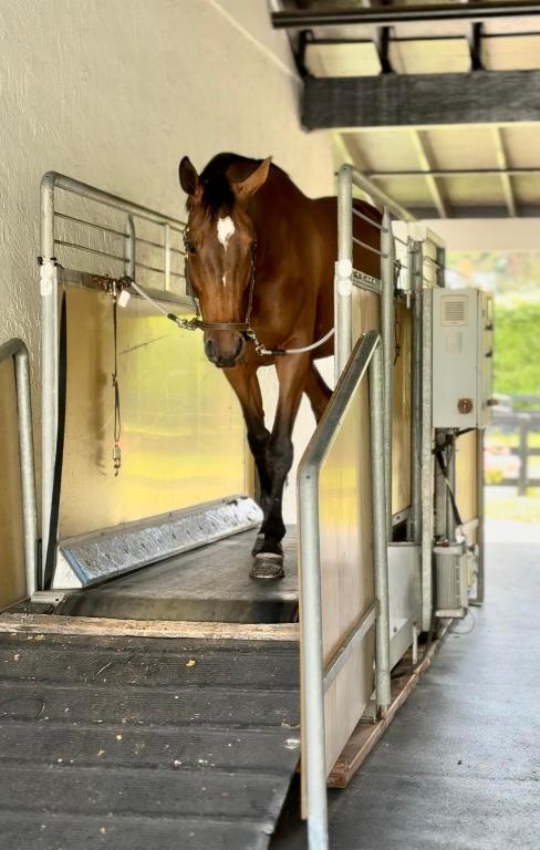 SOUTHFIELDS WELLINGTON COUNTRY - Land