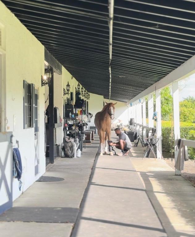 SOUTHFIELDS WELLINGTON COUNTRY - Land