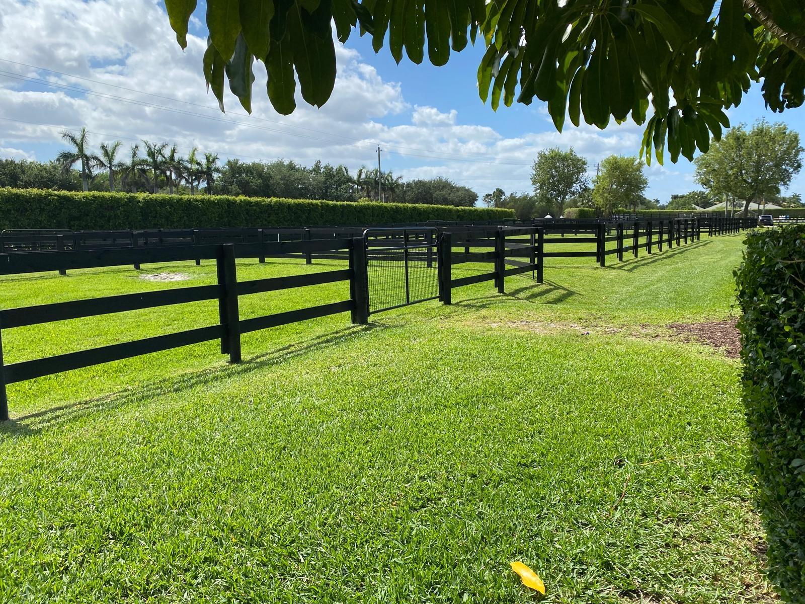 SOUTHFIELDS WELLINGTON CO - Residential Lease