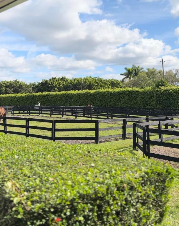 SOUTHFIELDS WELLINGTON COUNTRY - Land