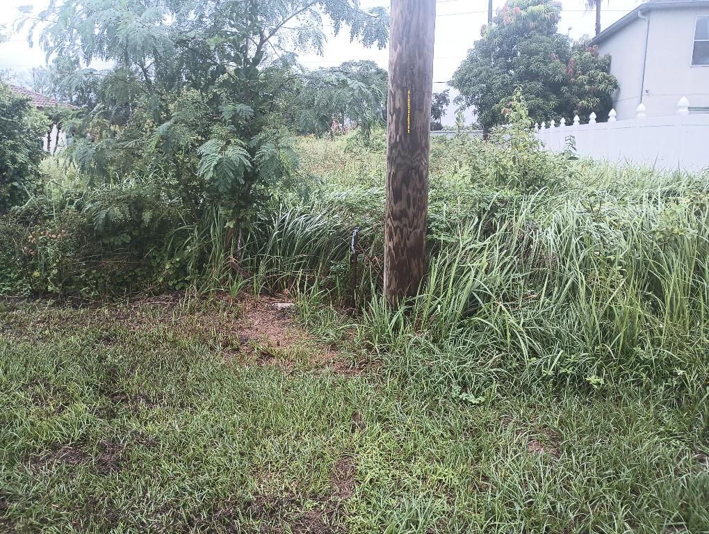 PORT ST LUCIE SECTION 14 - Land