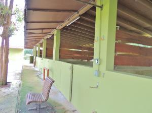 Rustic Ranches - Residential Lease