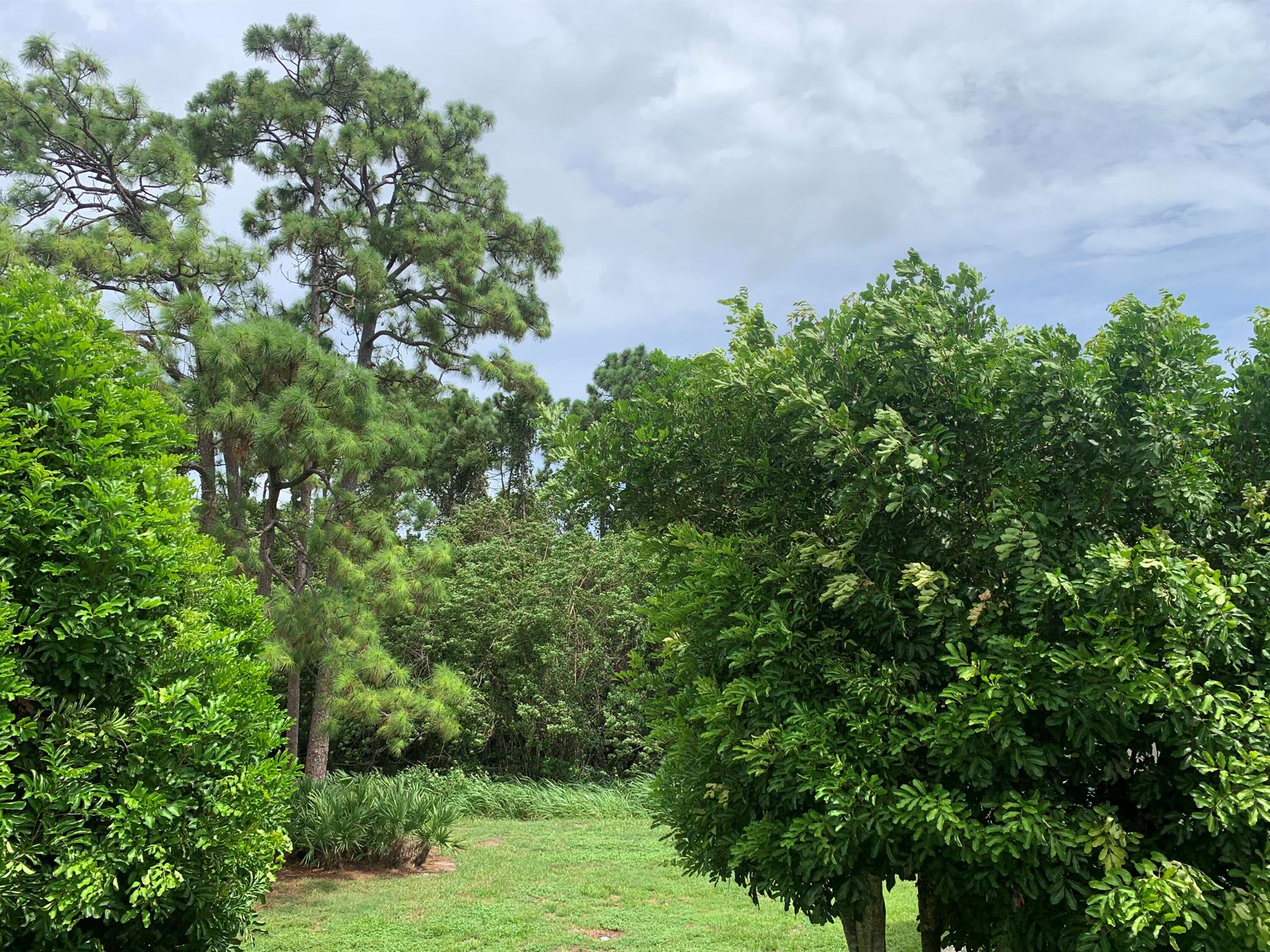 Vista St Lucie - Residential