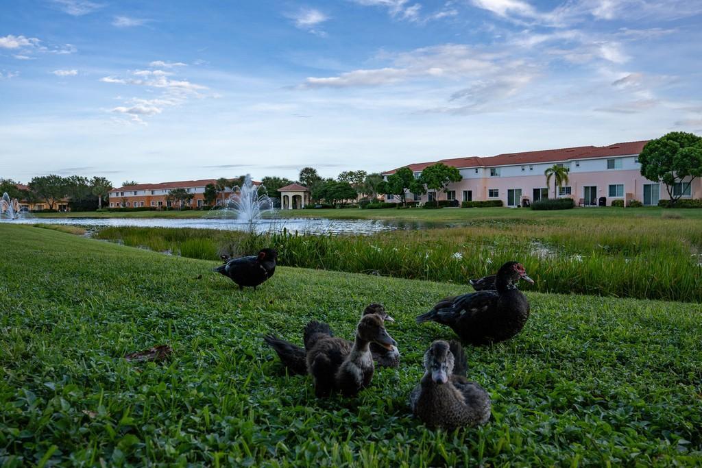 BRIELLA 1 CONDO - Residential Lease