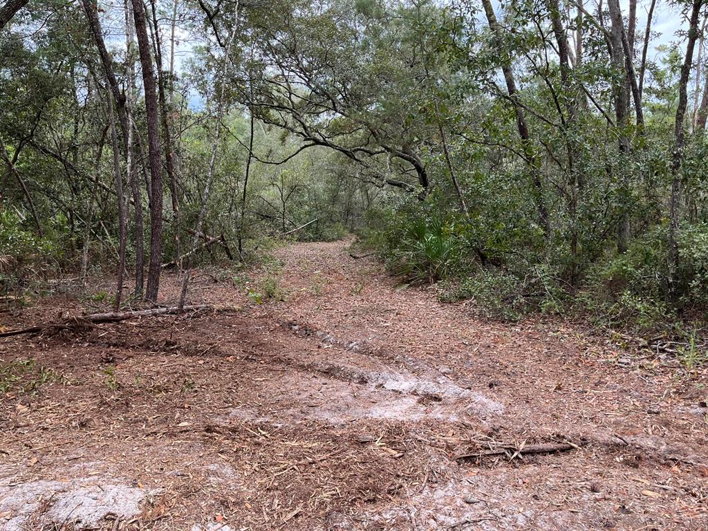 Old Florida at its best, semi cleared and undeveloped, Oak, Pines, wild fruit trees and saw palmettos Very nice, wooded 1+ acre Residential/ Ag parcel in beautiful Lake Margaret Estates. Start planning your new single-family home or set up that new mobile home. Owner Financing Available