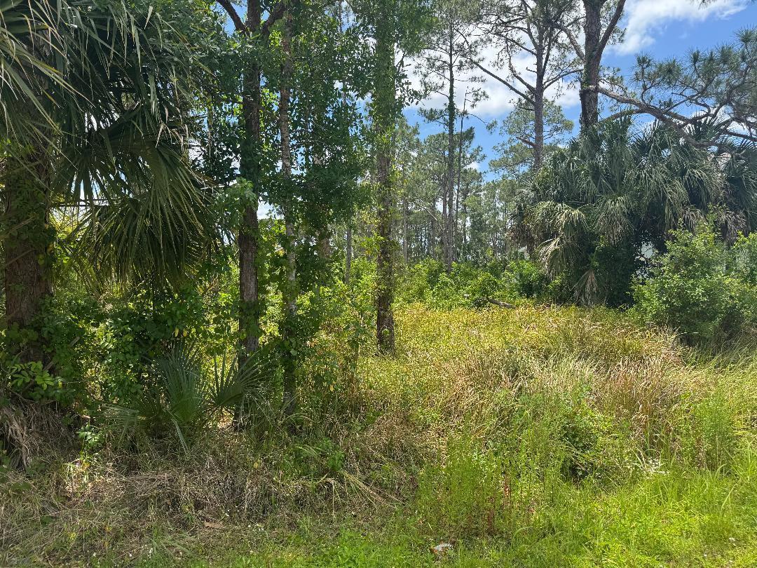 Don't miss your opportunity to purchase land in this rapidly growing community! Property values have been increasing, and this is a great investment opportunity! Beautifully located with lots of opportunity for growth and development!