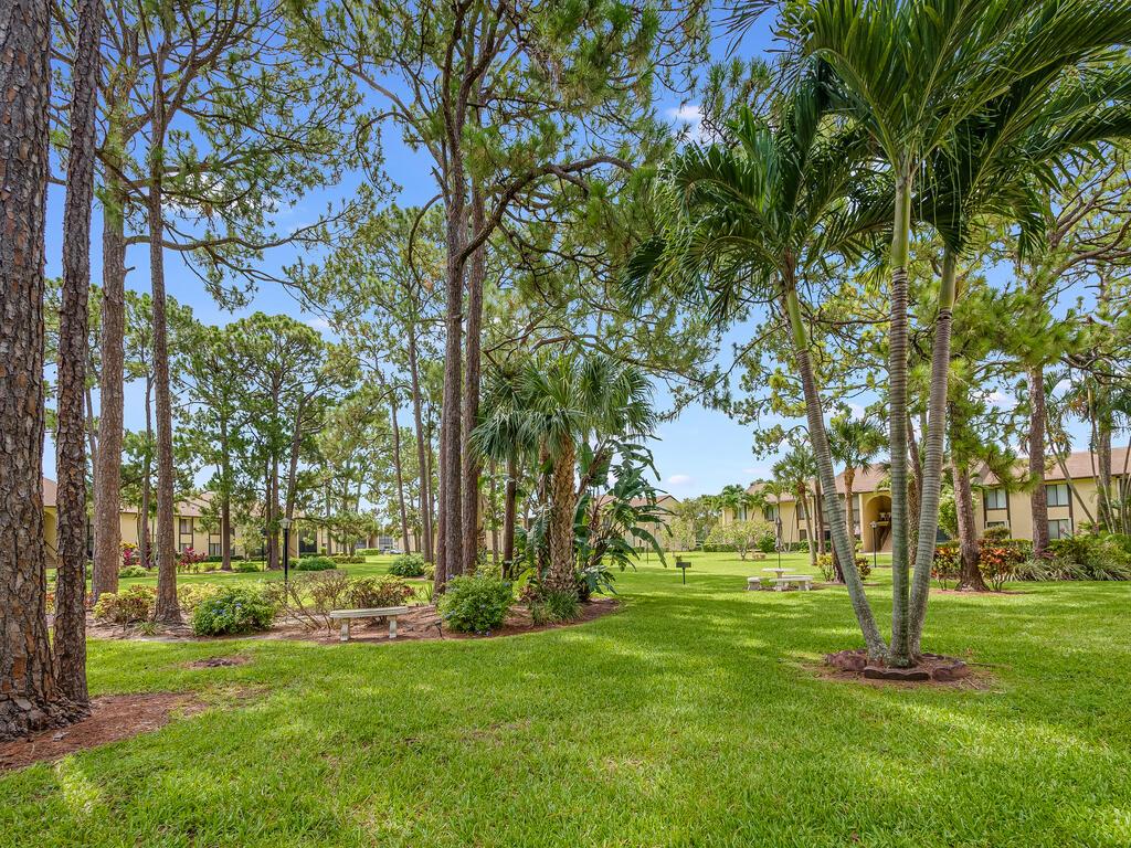 PINE RIDGE NORTH VILLAGE IV CONDO - Residential