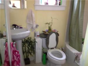 Flamingo Park - Residential