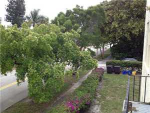 Flamingo Park - Residential