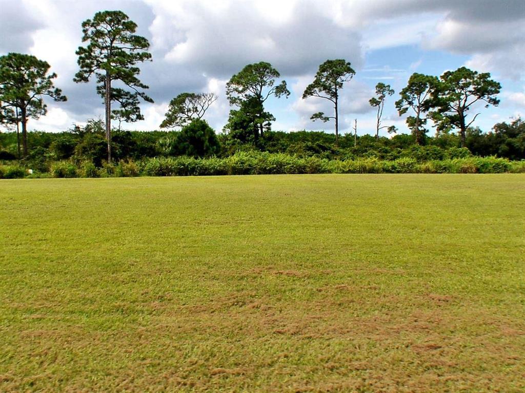 TESORO PRESERVE PLAT NO 2 - Land